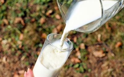 Ограничения ввоза молока из Белоруссии не повлияет на ценовую ситуацию