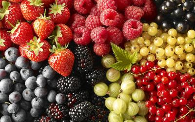Минсельхоз предложил ввести льготный НДС на плоды и ягоды