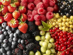 Минсельхоз предложил ввести льготный НДС на плоды и ягоды