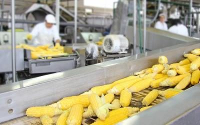 Выплачены первые в 2018 году субсидии производителям пищевого оборудования