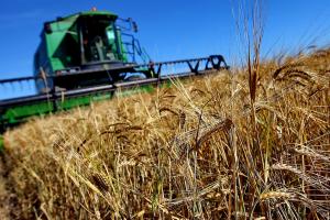 Правительство РФ поддержало расширение патентной системы налогов на сельское хозяйство