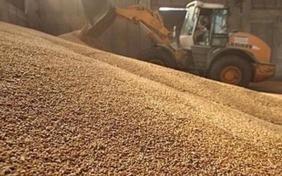 В Краснодарском крае и Ростовской области возможна приостановка деятельности ряда погрузочных площадок зерна