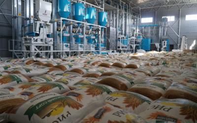 В Кизлярском районе Дагестана в пробном режиме запущен завод по переработке риса