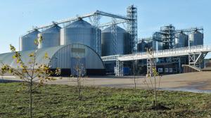 В Воронежской области планируется строительство завода по переработке зерна