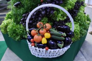 «Цифровая» теплица Ленинградской области накормит овощами Северо-Запад