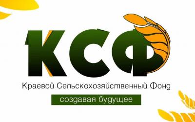 Сельскохозяйственный фонд Хабаровского края реорганизуют