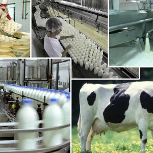 Еврокомиссия проверит безопасность животноводческой продукции
