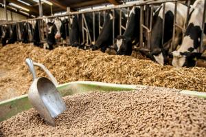 Новая подпрограмма «Развитие производства кормов и кормовых добавок для животных»