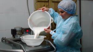 Проблема белорусской молочки для РФ имеет решение без политической подоплеки