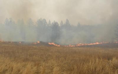 Ущерб аграриям Забайкалья от пожаров оценили в 860 млн рублей