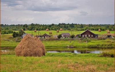 В Воронеже обсудили, как жизнь на селе сделать комфортной и цивилизованной