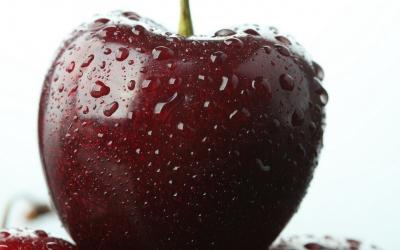 В Японии вывели сорт вишни с самыми крупными в мире плодами