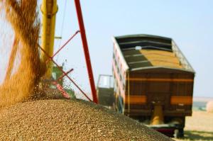 В РФ с 1 июля начнут действовать новые правила перевозки зерна