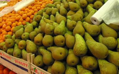 Садоводы просят ограничить импорт фруктов