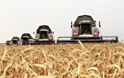 Крымские хлеборобы намолотили миллион тонн зерна