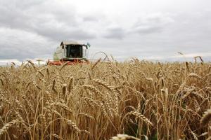 Минсельхоз завершил разработку долгосрочной стратегии развития зернового комплекса РФ до 2035 года