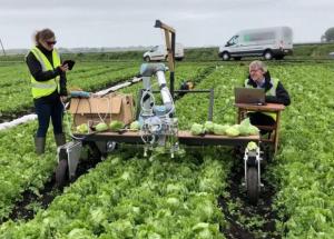 Британские ученые научили робота собирать салат