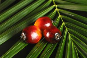 В Госдуму внесут законопроект о снятии с пальмового масла льготного налогового режима