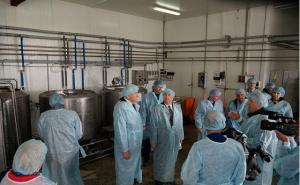 В Ростовской области планируют развивать рынок экопродуктов
