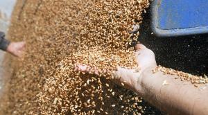 Орловские власти и арабская Al Dahra планируют создать совместный зерновой кластер за 13 млрд рублей