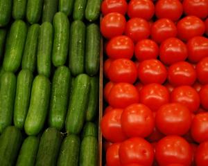 Госзакупки импортных овощей могут ограничить