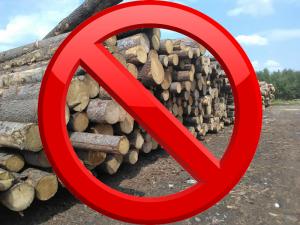Решением суда приостановлена деятельность лесоперерабатывающей организации в Красноярском крае