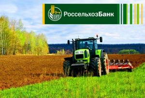 Россельхозбанк на треть увеличил кредитование сезонных работ в Белгородской области