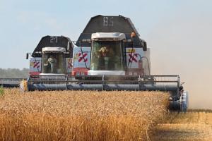 На Дону убрано более четверти площадей зерновых культур
