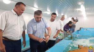 В Республике Крым стартовал запуск первого и единственного в Европе инкубатора по производству малька креветки Vannamei