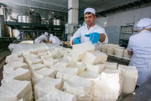 Алтайский край не может продать сыр и масло почти на 5 миллиардов рублей