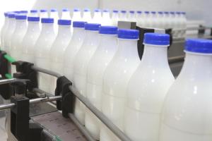 В Ленинградской области увеличилась себестоимость молока