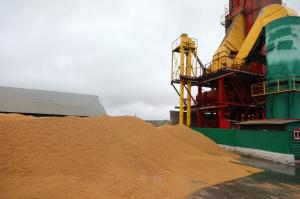 Красноярские аграрии преодолели рубеж в миллион тонн зерна