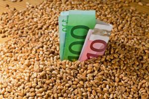 Цены на пшеницу РФ вновь взлетели на спросе импортеров
