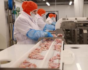Россия планирует войти в топ-10 мировых экспортеров мяса птицы