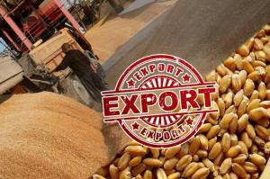 Квота на экспорт зерна из РФ может быть установлена с 1 января по 30 июня 2021 года