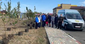 В Ростовской области  детскому саду подарили фруктовый сад