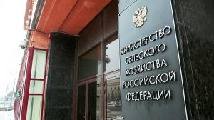 Минсельхоз внес в Правительство РФ законопроект о маркировании и учете животных