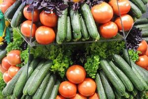 Производство овощей в России увеличилось на 5,4%