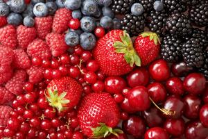 К 2023 году предполагается наполнить внутренний рынок качественной отечественной плодово-ягодной продукцией