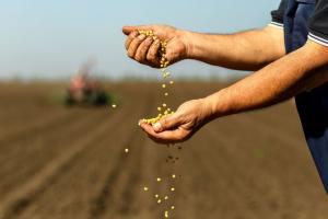 Абрамченко: Российское продовольствие оградят от ГМО-семян