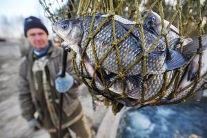 В России к 2023 году будут перерабатывать всю добываемую рыбу
