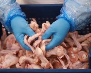 «Ресурс» увеличит производство мяса птицы