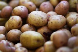 Эксперт оценил, поможет ли белорусский картофель сбить цены в России