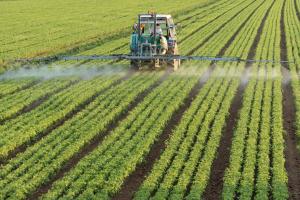 С 29 июня изменен порядок ввоза в Россию пестицидов и агрохимикатов