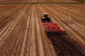 Более половины посевных площадей пшеницы Иркутской области заняты сортами уральской селекции