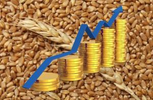 Абрамченко поручила доложить о причинах роста цен на пшеницу твердых сортов