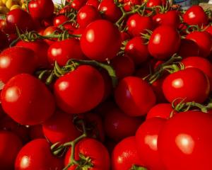 Россия отменила ограничения на поставки азербайджанских томатов и яблок