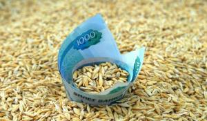 РФ и Китай проведут переговоры по расширению поставок российской пшеницы и ячменя