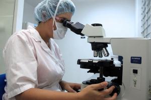 Алтайские ученые займутся генетическим мониторингом КРС