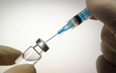 В Саратовской области проведут срочную вакцинацию от ящура